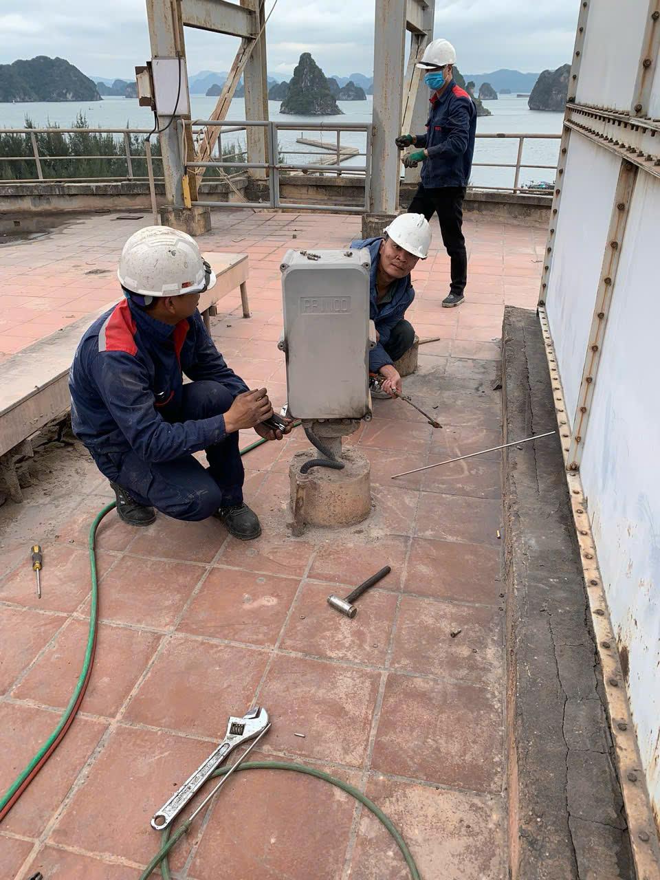 Hình ảnh của chúng tôi