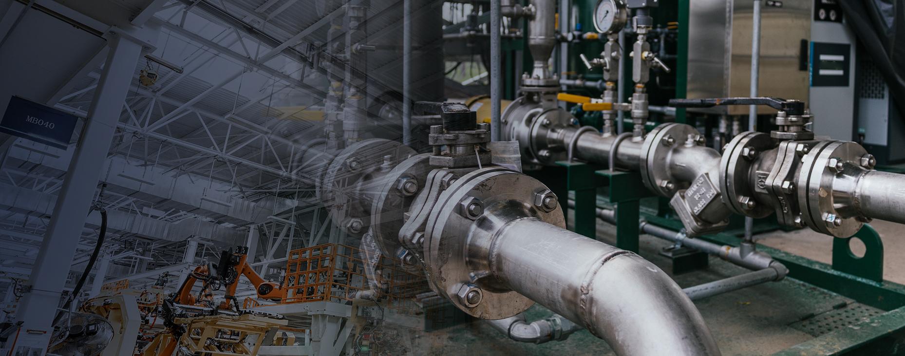 Chính sách chất lượng